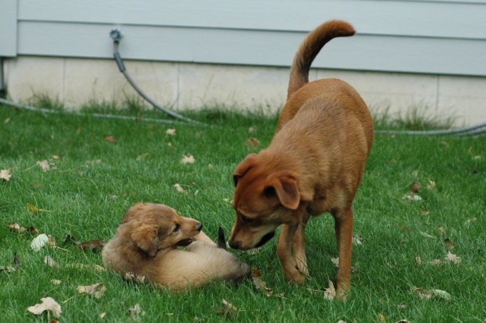 257559247_7dae2ee882_o