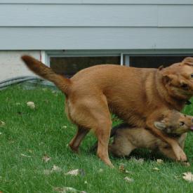 257559705_abf124d6ae_o