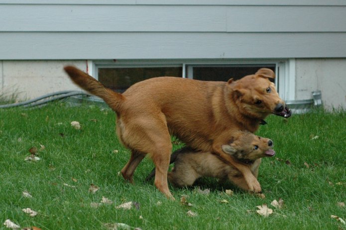 257559705_abf124d6ae_o