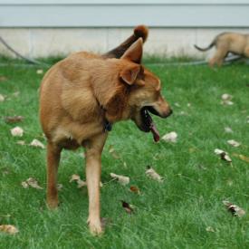 257560263_c8e856feb6_o