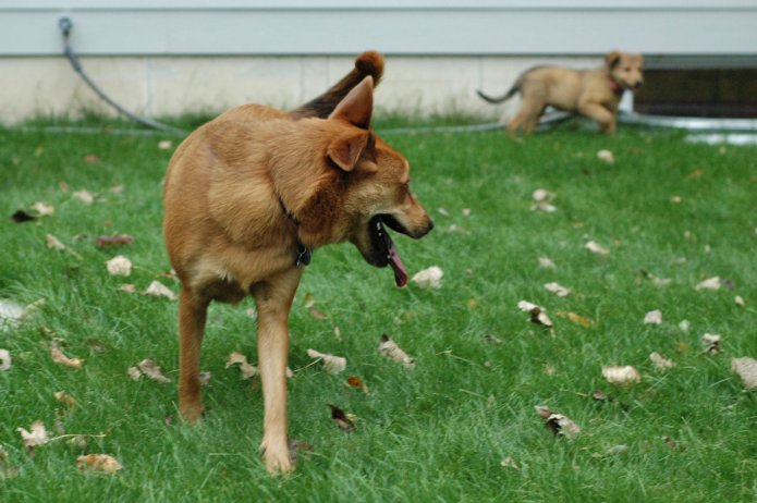 257560263_c8e856feb6_o