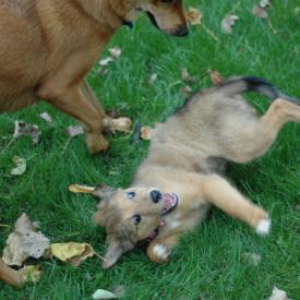 257560714_8e0d2ca25b_o