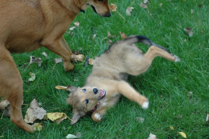 257560714_8e0d2ca25b_o