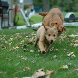 257561048_519c21c47e_o