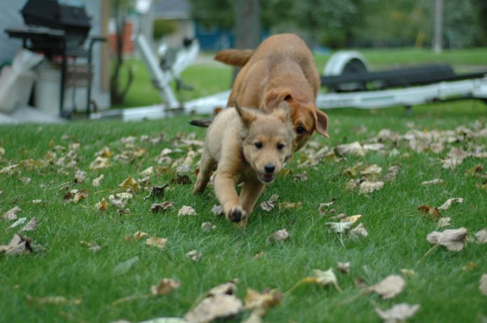 257561048_519c21c47e_o