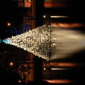 328388991_7408c199c3_o