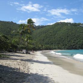 3210946493_c357b996d3_o