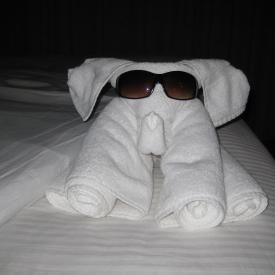 3210951483_27afde8135_o