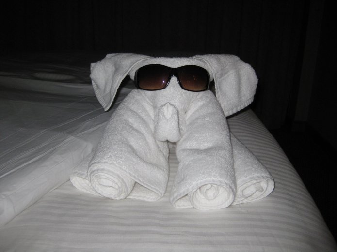 3210951483_27afde8135_o