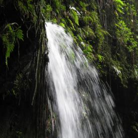 3210955871_6a61acda2b_o