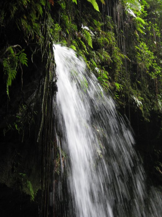 3210955871_6a61acda2b_o