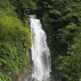 3210961907_0fed4b6c83_o