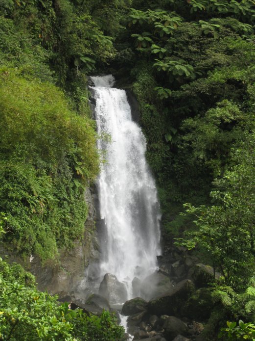 3210961907_0fed4b6c83_o