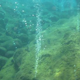 3210965945_1d250b195b_o