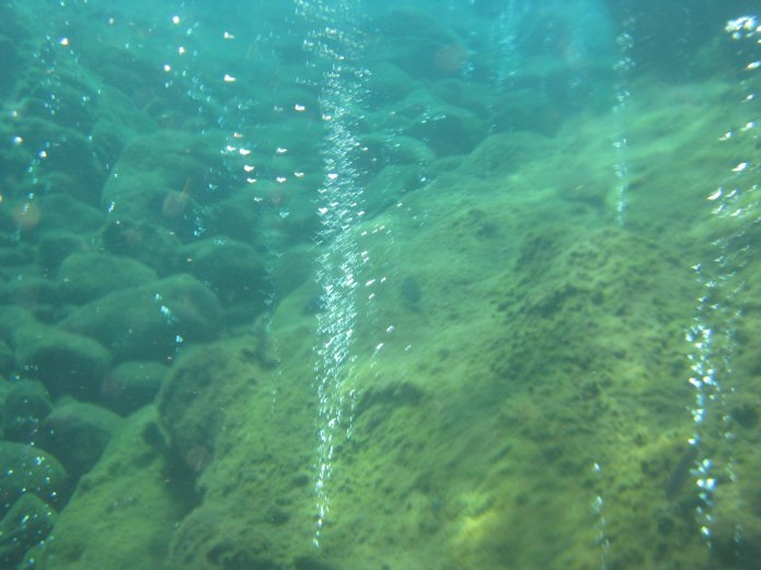 3210965945_1d250b195b_o