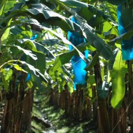 3210977145_339b31bb32_o