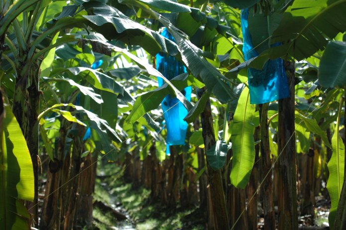 3210977145_339b31bb32_o