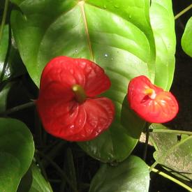 3210998891_c0acee4c8f_o