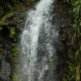 3211004397_9b378982c7_o