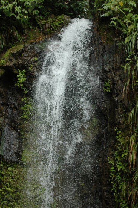 3211004397_9b378982c7_o