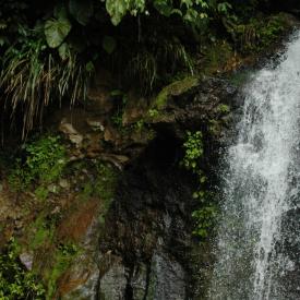 3211005481_282e331e18_o