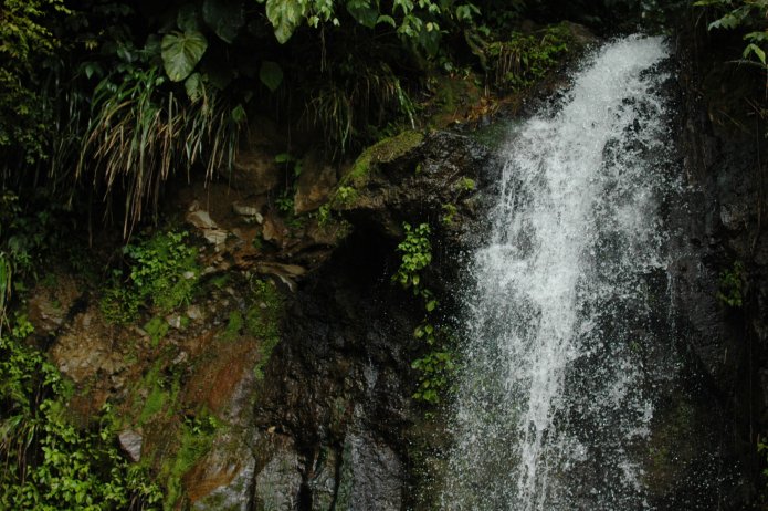 3211005481_282e331e18_o