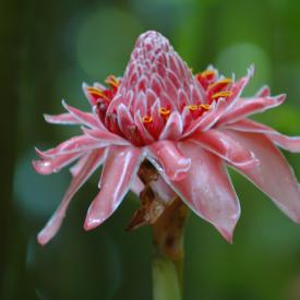 3211006433_f450d49bf6_o