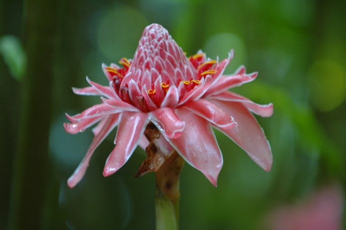 3211006433_f450d49bf6_o