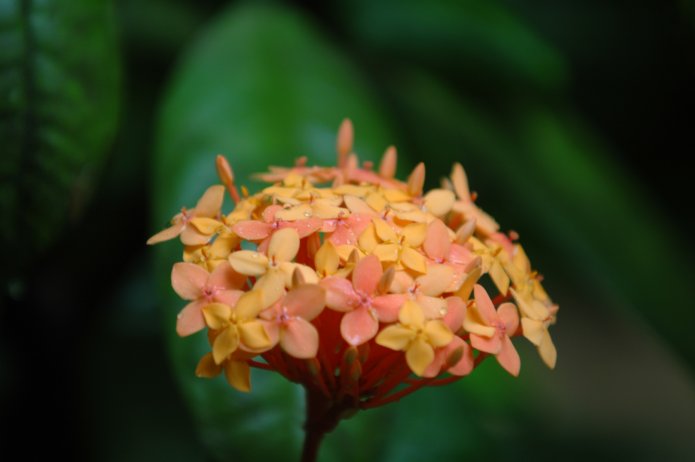 3211007929_ebe43c850a_o