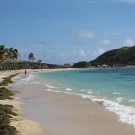 3211033021_51ee88a06b_o