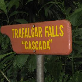 3211806046_319993c339_o