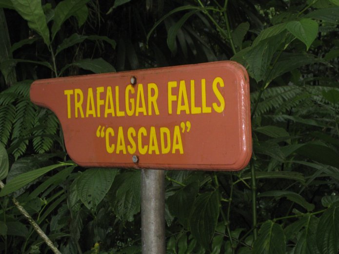 3211806046_319993c339_o