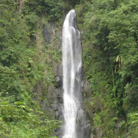 3211808810_eea9a7867f_o