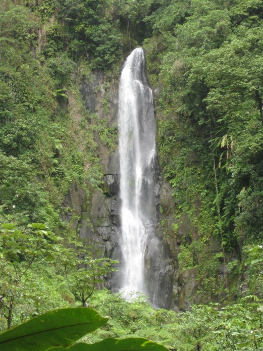 3211808810_eea9a7867f_o