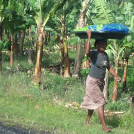 3211818122_f563d31b22_o