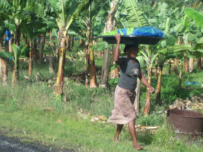 3211818122_f563d31b22_o