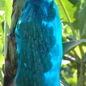 3211821724_c15b69f584_o