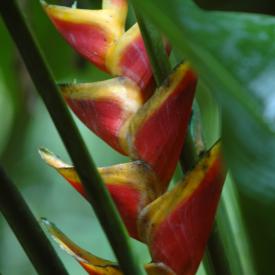 3211853390_beb2913ac7_o