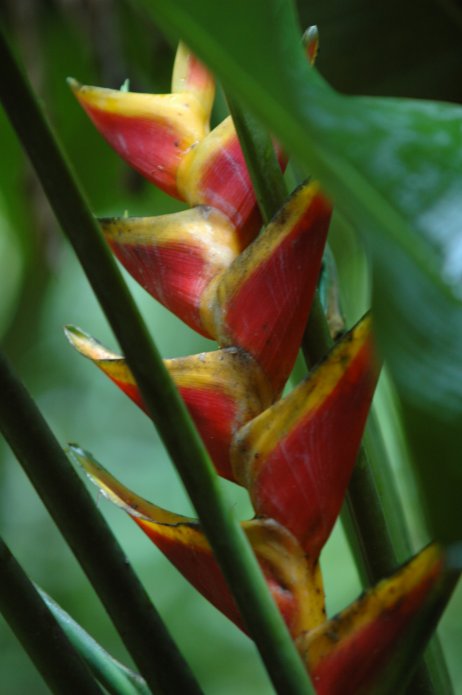 3211853390_beb2913ac7_o