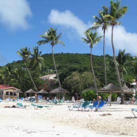 3211868382_506ce4a4a1_o