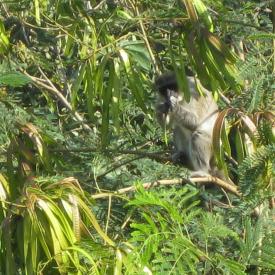 3211876626_daa8c430cb_o