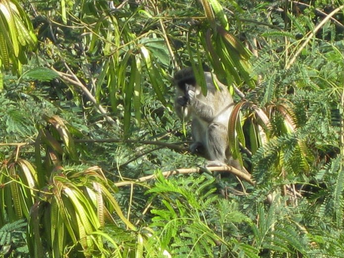 3211876626_daa8c430cb_o