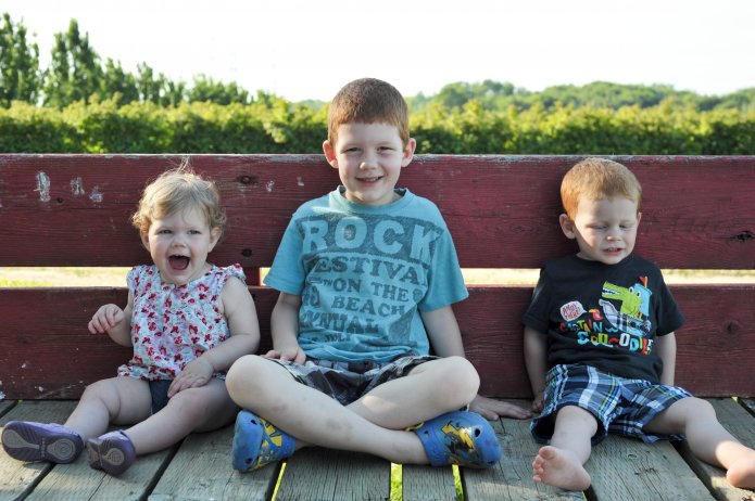 strawberry-picking-046