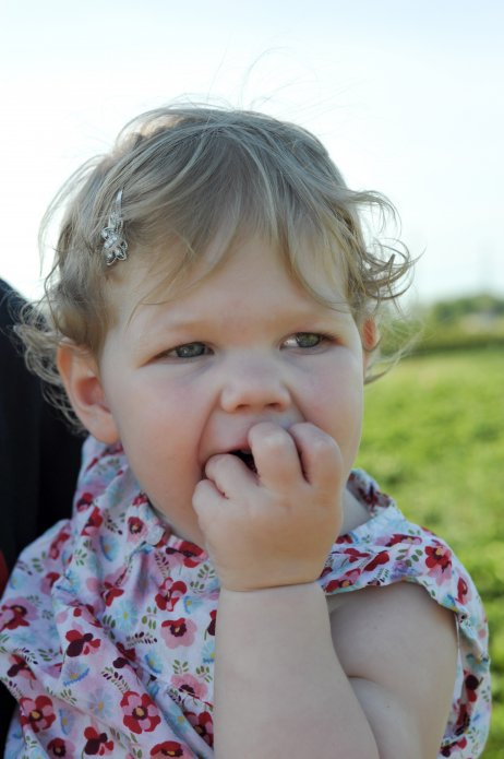 strawberry-picking-087