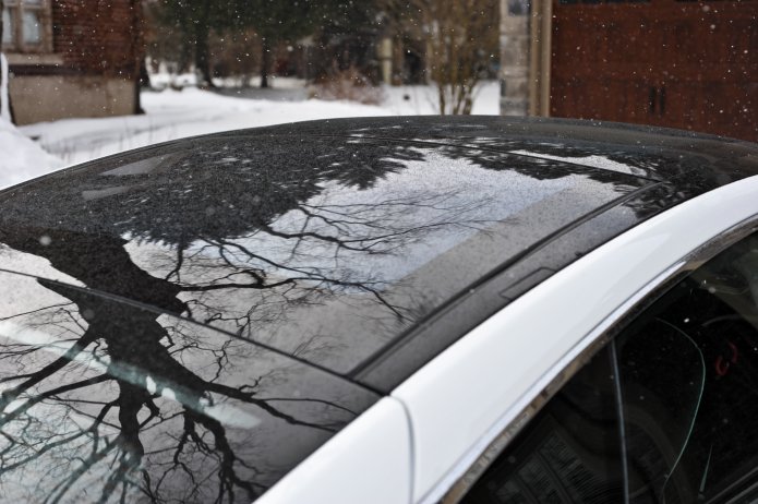 tesla-photoshoot-053