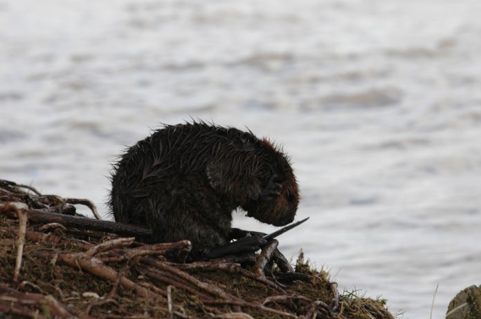 3415513967_e4b991d9dd_o