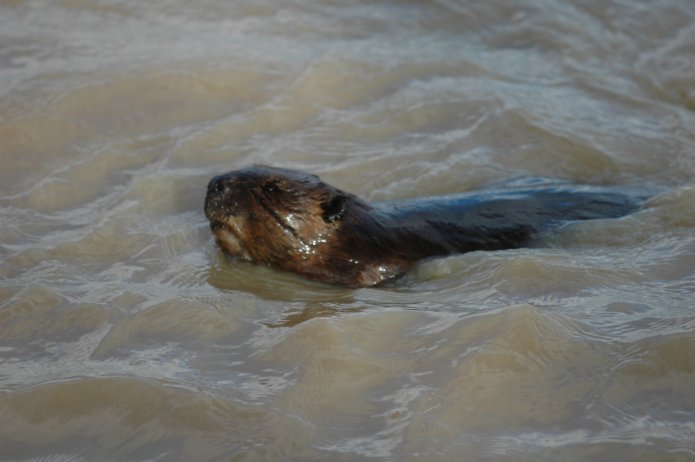 3415522275_1b857519ea_o