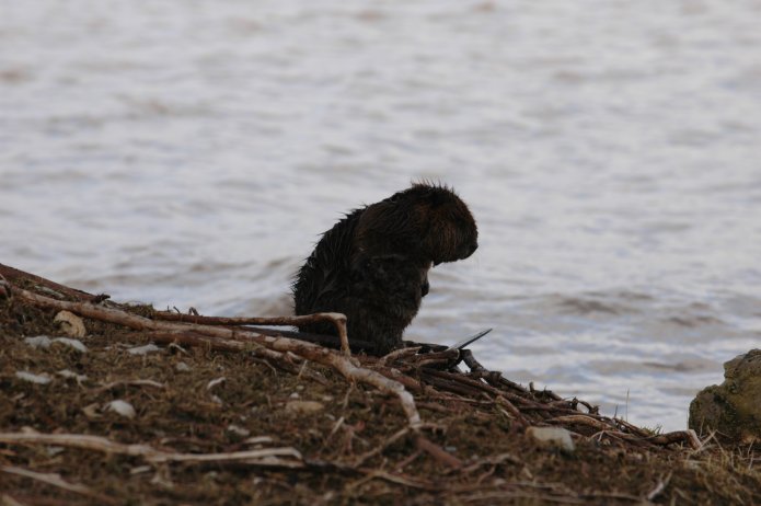 3416319644_d86ec20b71_o