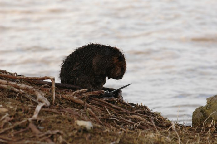 3416320972_b4b5a5de84_o