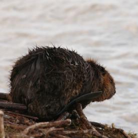 3416324798_660cbd2106_o